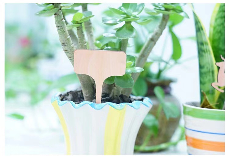 9386172646b3d4c57f93ac5688b246