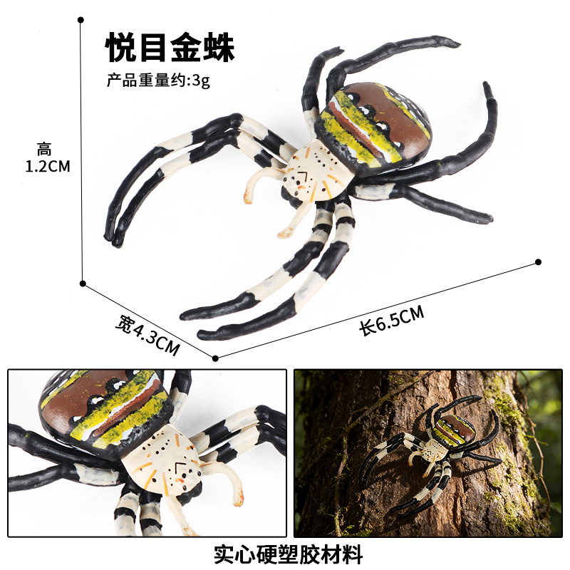 Araña dorada M-2542 melodiosa