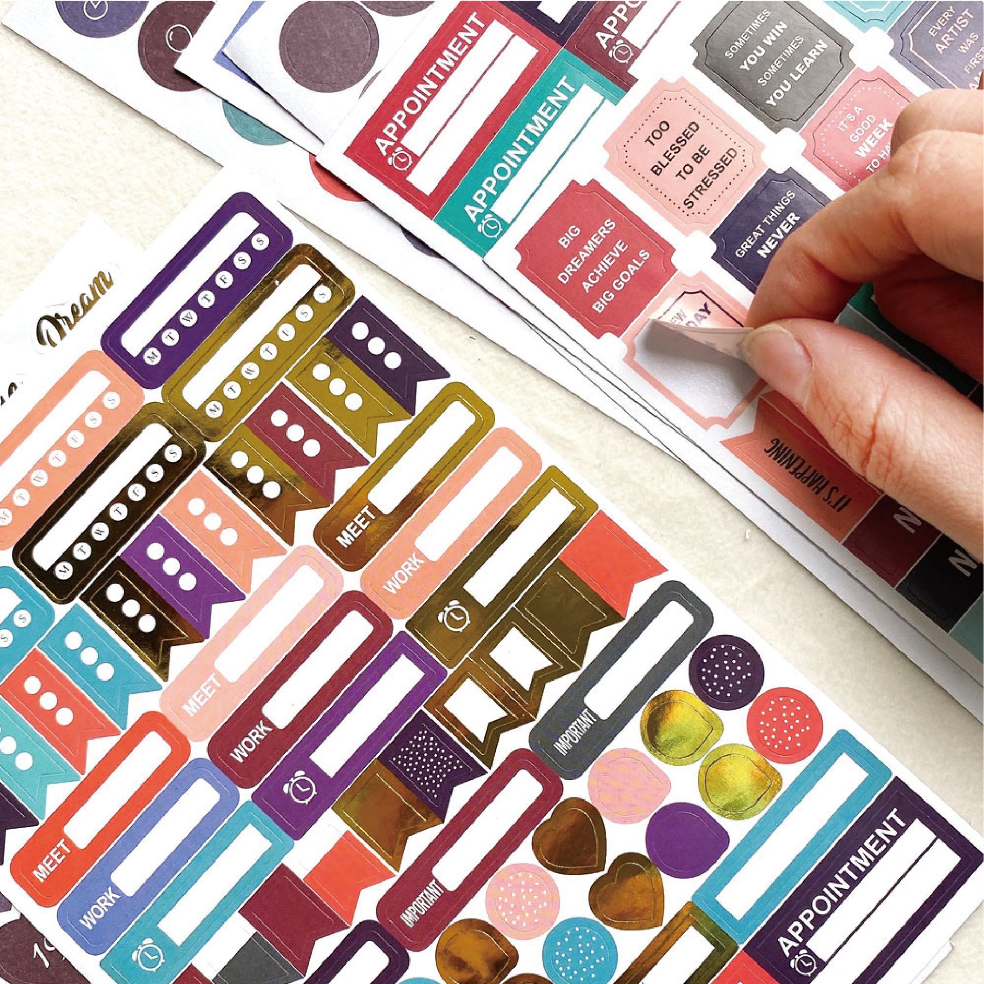 计划贴纸综合效果图-04