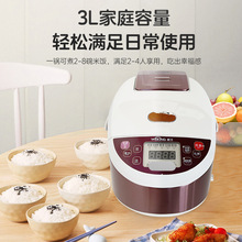 威王电饭煲家用3小型2-5人用智能预约多功能全自动电饭锅外贸