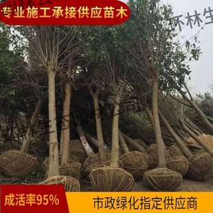 ���~Ůؑ��ߗUŮؑ��С�^���@ͥԺ�ļ������~�е��G����ľ���l