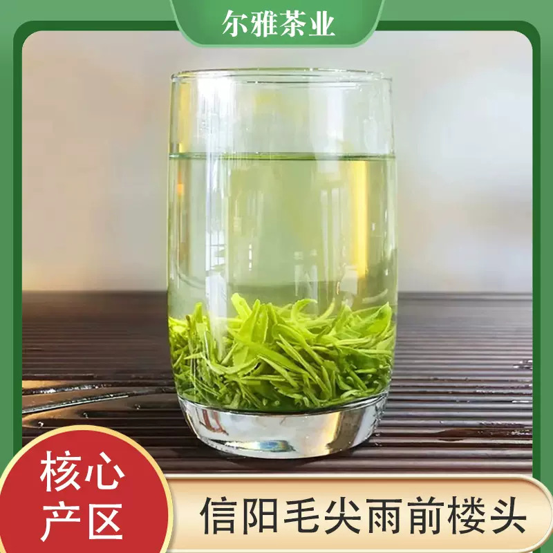 信阳毛尖茶叶浓香型绿茶500g2025新茶毛尖茶一芽一叶楼头高山绿茶