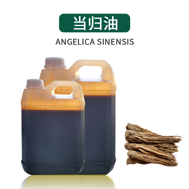 批量供应当归油 当归精油原料 圆叶当归 蒿本内酯45%厂家现货包邮