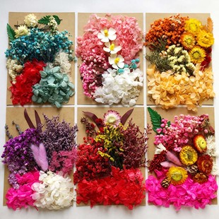 A5�������ϰ��ɻ����������Ѻ�����ϰ�DIY������޹Ϟ�T�ɻ����l