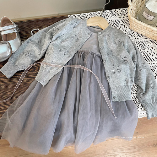 Korean children's clothing 2024 new spring girls' long-sleeved dress children's stylish princess fluffy skirt net dress