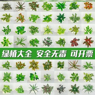�����~�Ӽٻ����ϻ��bP�����N���~����Ʒ���˔[�P�Gֲ�ֹ�