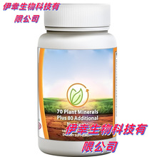 RdNƷ F؛z 12NS18NoøQ10