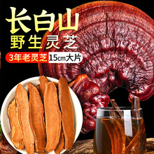 LɽҰ`֥Ƭ 500gƬƷϳ`֥ӷBˮ