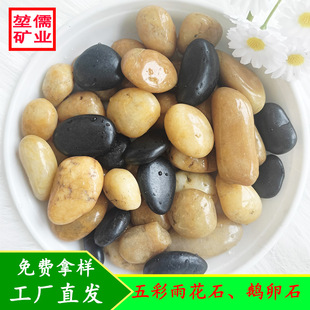 �Z��ʯ䁵��껨ʯ��Ȼʯ��ͥԺ���@�쾰��ʯ�����l��ɫʯ�^�Zůʯ