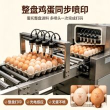 六喷头在线式整盘鸡蛋喷码机鸡蛋包装流水线可对接鸡蛋清洗分选机
