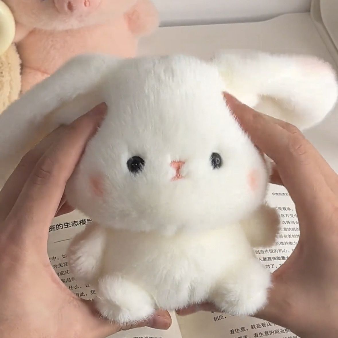1 Piece Quantity Children Unisex Adults Animal Cartoon Plush Stuffed Animals & Plush Toys