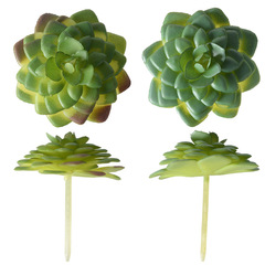 仿真花多肉水蓮仿真小盆景家居桌面擺件裝飾盆栽多肉綠植假花跨境