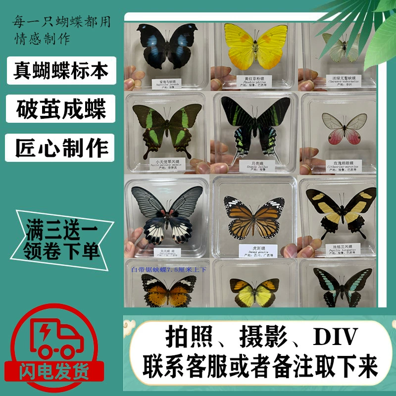 Образец бабочки Weng Kai