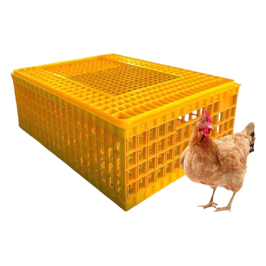 Los fabricantes suministran jaulas de plástico para pollos gruesos, pollos, patos, gansos, palomas y conejos.