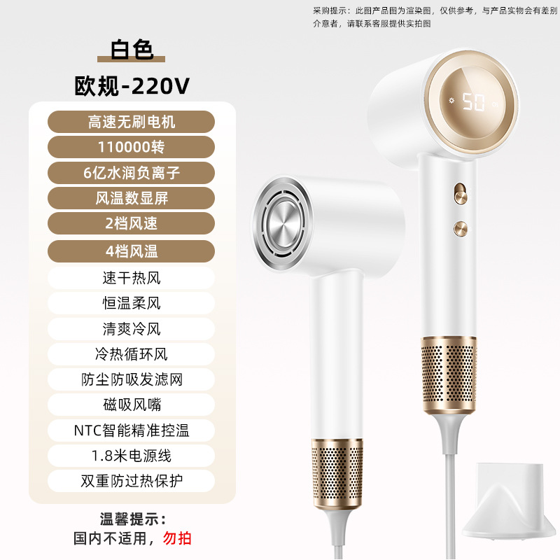 【D4-D】화이트【유럽 규격 - 220V】- 11만 RPM 브러시리스 모터 + 6억 개 음이온 + 풍온 디지털 표시 + 자석식 노즐 + 1600W