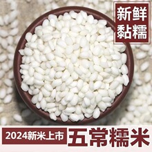 2024��Ŵ�׶���Բ��Ŵ��5��/10�������ճ���� �峣���� ��������