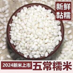 2024��Ŵ�ז|���A��Ŵ��5��/10�������ճ���� �峣���� ��������