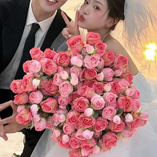 �nʽС���»鼆�zӰ���յ��ߑ�������������������ɫõ�廨
