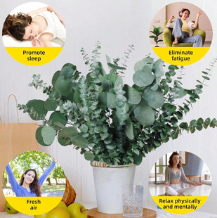��������ȼ�����ϸɻ������l�羳���lins�Lܛ�b�b�DIY���ϬF؛