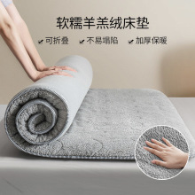 床墊宿舍加厚羊羔絨軟墊家用床褥子冬季學生宿舍單人租房專用墊被
