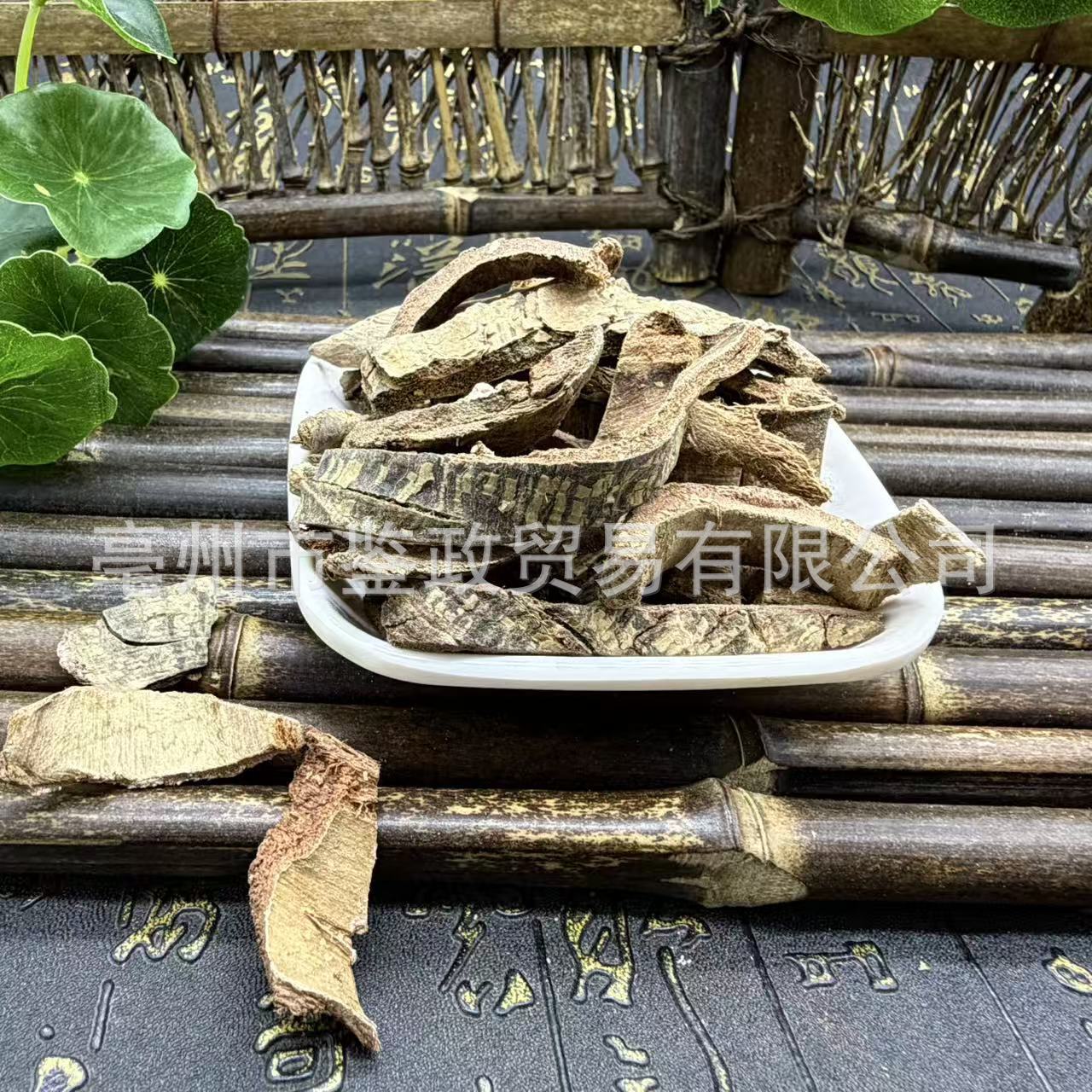 Dried Tujingpi Bark TCM Herb Tu Jing Pi Pseudolarix Bark for Traditional Decoction and External Herbal Use key features