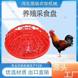鸡食槽家禽喂食槽小鸡喂食器加厚鸡鸭鹅料槽鸡食槽新型喂鸡食槽