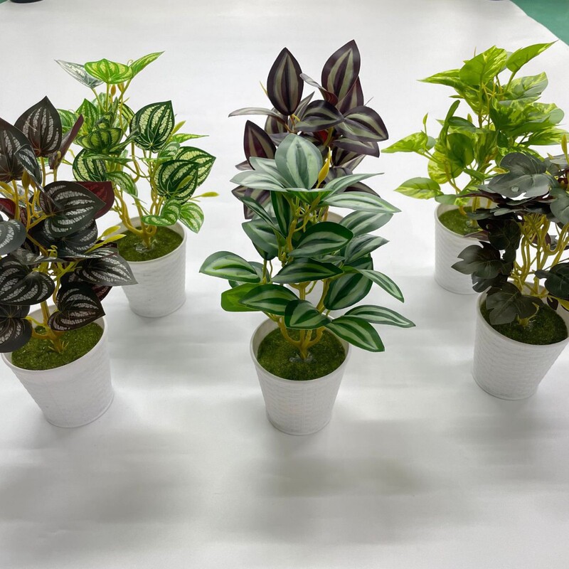 Factory Direct Sales Cross-Border Artificial Flowers and Green Plants Mini Plastic Potted Plants Cross-Border Desktop Pennywort Wild Chrysanthemum Simulated Small Bonsai