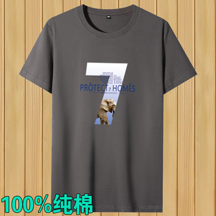 �ļ��г��ƶ���t���ɳ����ٴ�������e��ʿ��������b