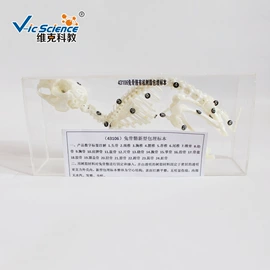 生物教学器材;医药教学器材;教学演示用品