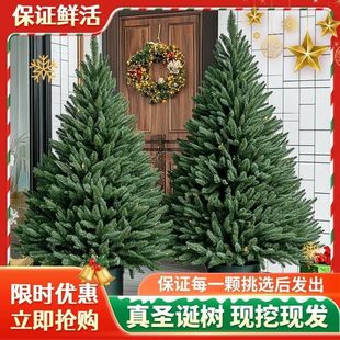 �ɼ���}�Q��ɼ���������ͺ����}�Q��G����ͥԺŲ���ɘ��ɼ��