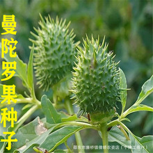 �����_�N��ͥԺ�������Լ�ͥ�̨�Nֲ���ݻ����ݻ��ļ����ܻ��N��