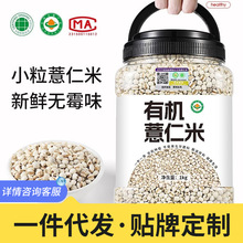 2025�����ЙC޲�������״ּZ�r����؛޲��������s�Z�ּZ޲������