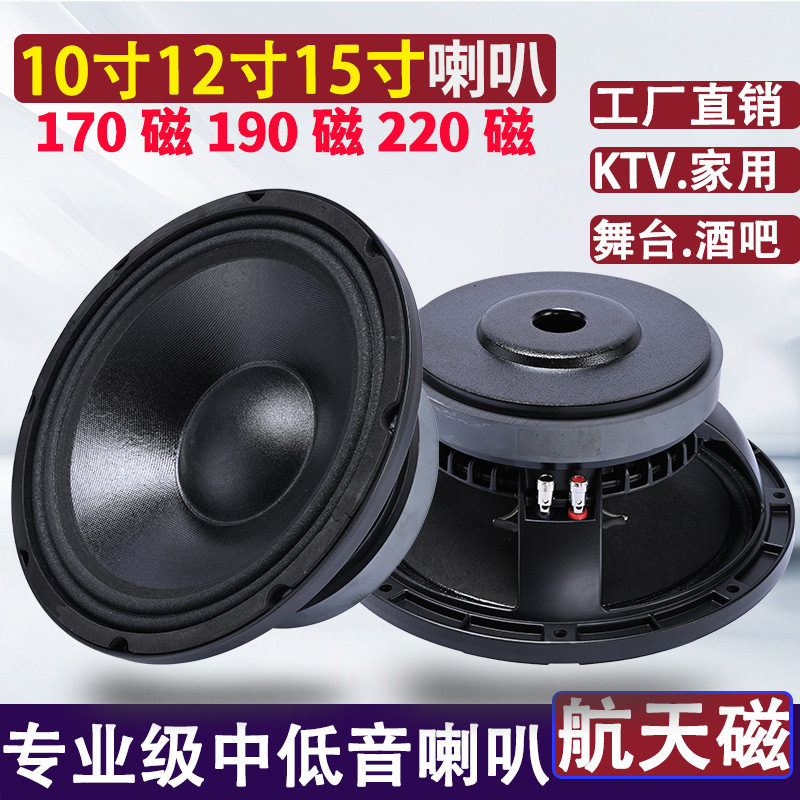 Subwoofer profesional de audio para escenario KTV de 10 pulgadas, 12 pulgadas, 15 pulgadas, con imán de 190 y 220, núcleo de 100.