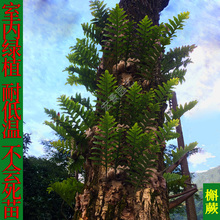 ާaKNëܽ½ʯާԾGֲвșl