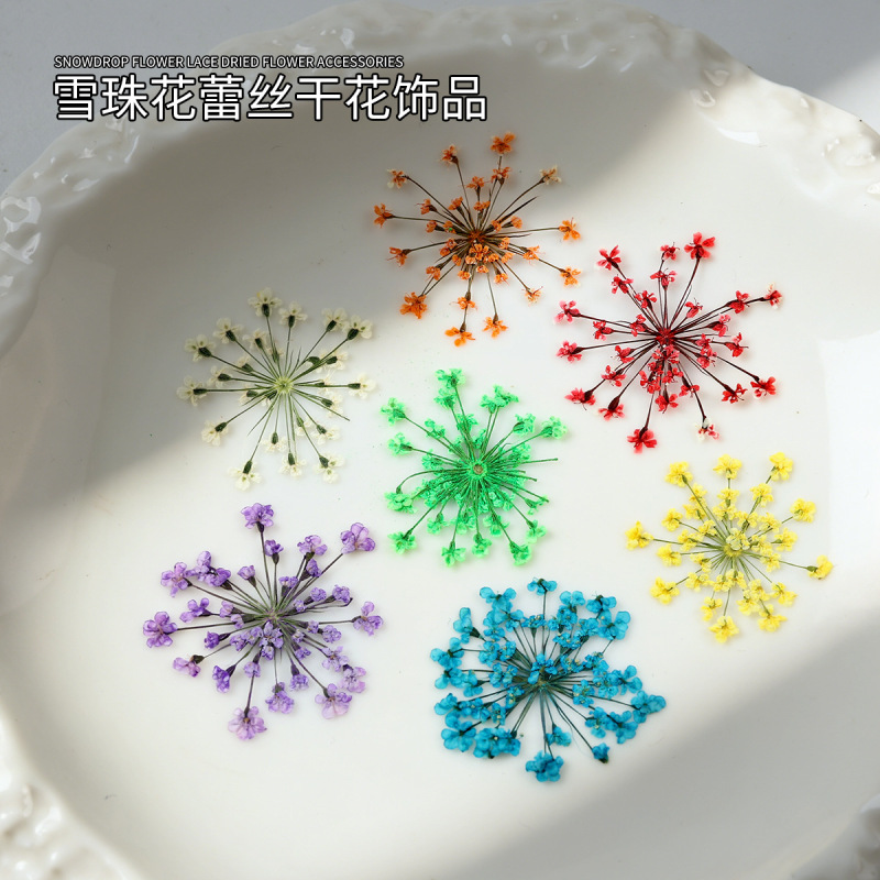 Snowdrop Flower Lace Nail Art Dried Flower Ornaments Small Fresh Natural Handmade Pressed Flower Nail DIY Decorations Small Accessories