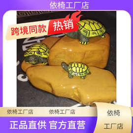 黄蜡石乌龟晒台发色养桥小青巴西龟草墨龟造景石南美鱼缸石头包邮