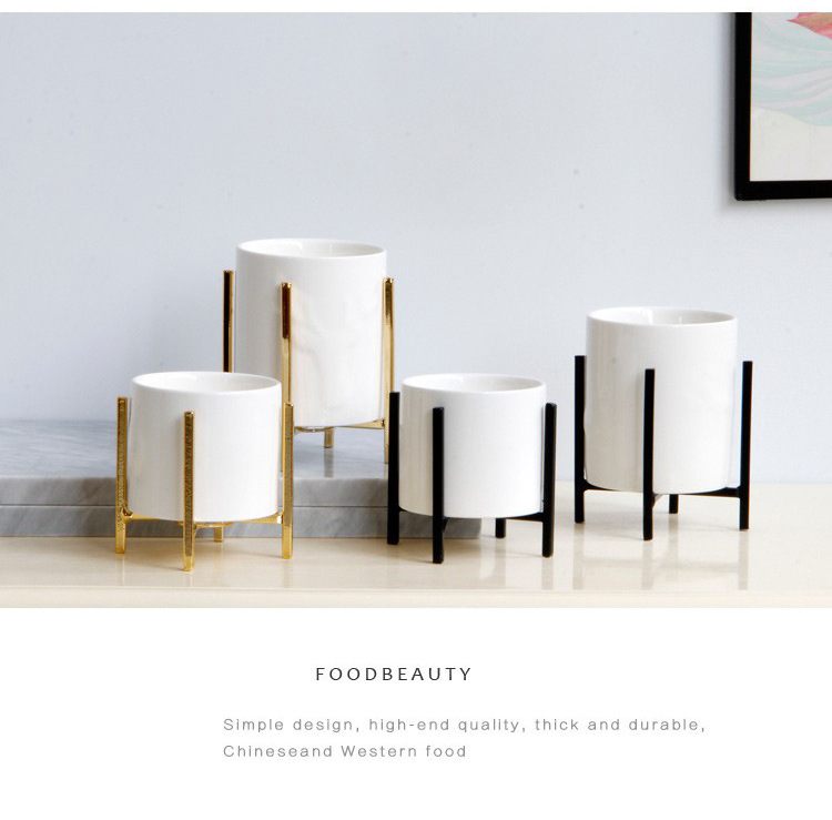 11726103109_1164833559_02