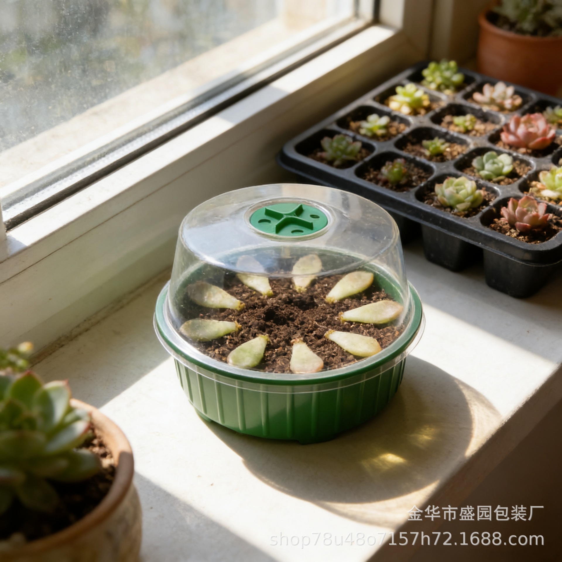 13-Hole Round Seedling Box for Home Garden Planting, Bean Sprouts, Flower Seedlings, Vegetable Planting, Cross-Border Gardening Cultivation 3