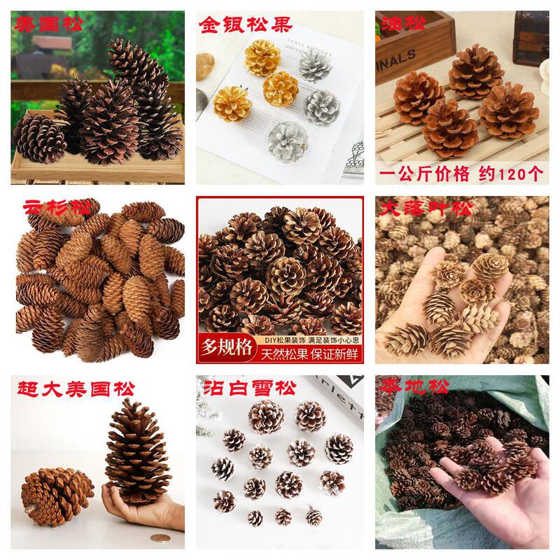 American pine pine pine local pine pine pine pine pine larch Christmas decoration pine dried flower DIY decoration American pine pine pine local pine pine pine pine pine larch Christmas decoration pine dried flower DIY decoration
