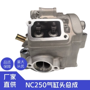 Zongshen Nc250 Mühərrik Hengjian Nc250 Nc300 Silindr Başlığı
