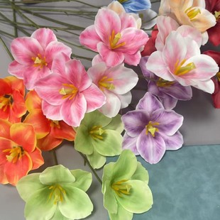 ��������滨�羳��c�ҾӾƵ��b��ٲ�����ˇ��ꐙ������b�