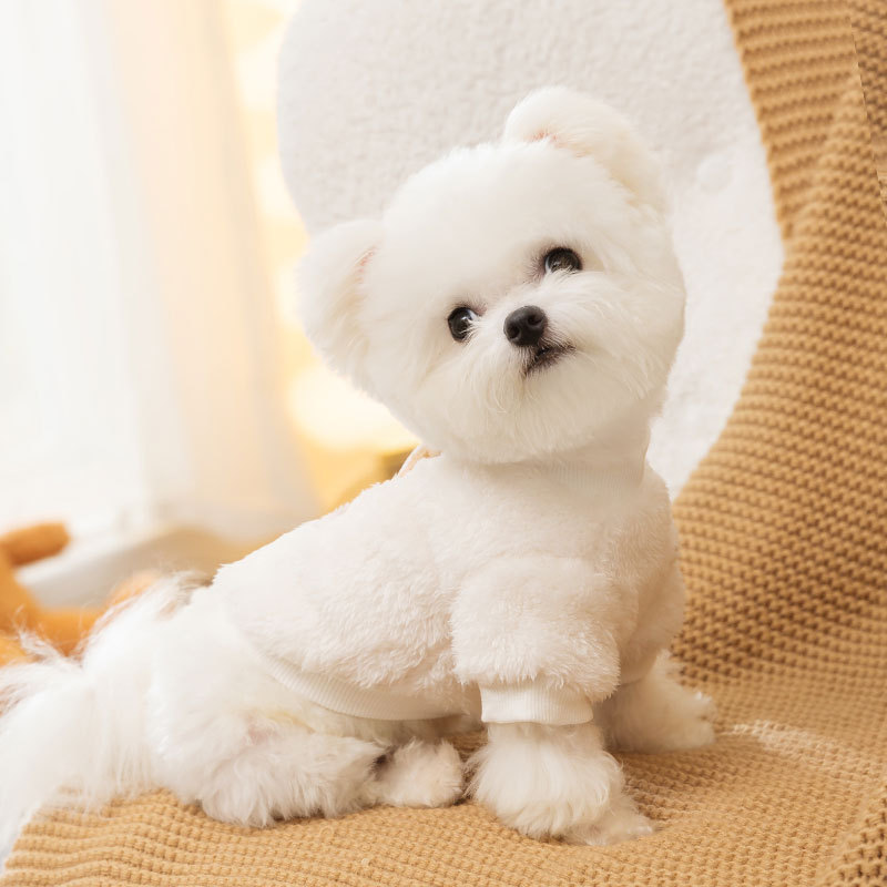 Estilo coreano lindo dibujos animados Otoño e Invierno moda perro oso parche bordado terciopelo gato de dos patas ropa de peluche para mascotas
