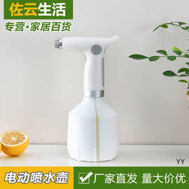 电动喷水壶USB酒精消毒喷雾器气压喷雾瓶园艺浇水壶喷水壶浇花