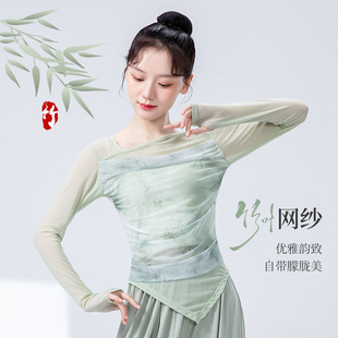 Classical Dance Practice Clothes for Women Spring and Summer New Long-Sleeved Bamboo Leaf Mesh Dance Clothes Tops Modern Dance Adult Performance Clothes
