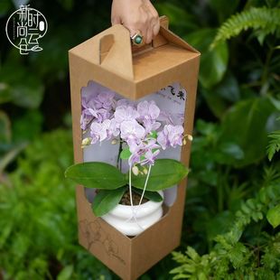 �����m���ԶY���m�����b������ʽ�Ӻ����㼈��YƷ�оGֲ�Y���Y��