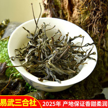 2025���^�����ն����������������ն�������ɢ�������᝙���~���l