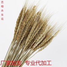 �S�����l��Ȼ����ɻ������_�I������@�b[����@�L�ɻ��[��