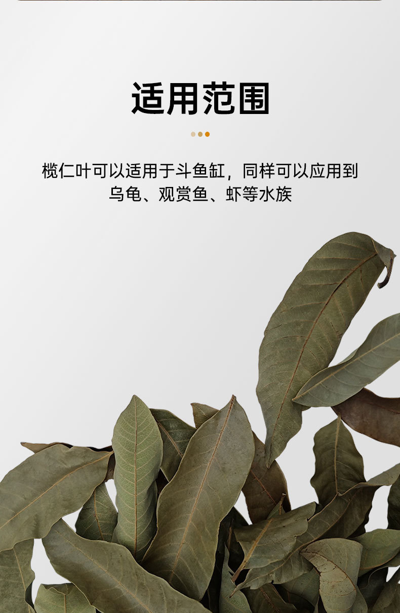 详情_04.jpg