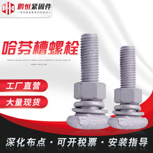 T����˨����\�S�����l���Ҳی�����˨8.8�����XT���ݽz