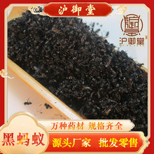 黑蚂蚁产地直销 黑蚂蚁干 批发黑蚂蚁 承接订单 常年大货